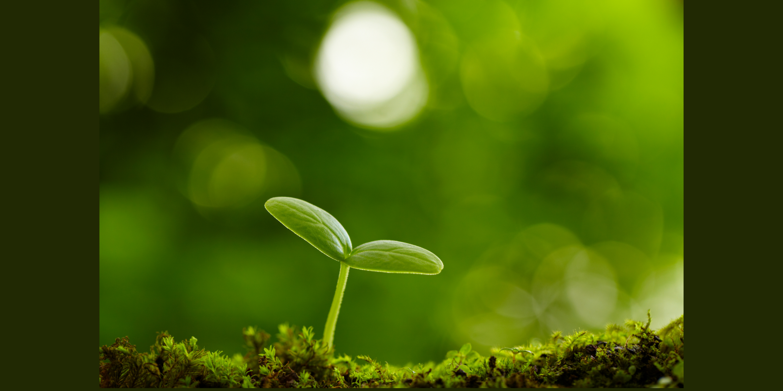 Remembrance and Renewal